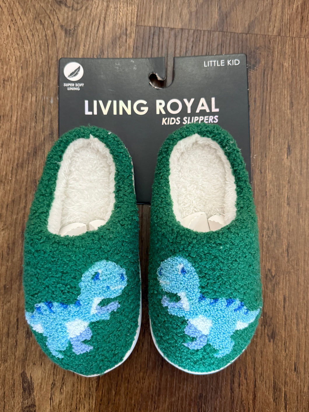 Dino Boy Slippers